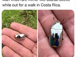 Hal-hal Unik yang Baru Tahu Ternyata Ada di Dunia Ini