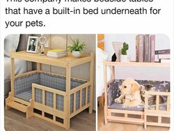 Hal-hal Unik yang Baru Tahu Ternyata Ada di Dunia Ini