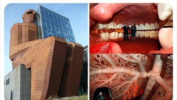 Museum Corpus di Belanda adalah satu-satunya di dunia di mana pengunjung seakan bisa memasuki badan manusia. Foto: Bored Panda