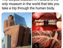 Hal-hal Unik yang Baru Tahu Ternyata Ada di Dunia Ini