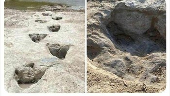 Ilmuwan menemukan jejak dinosarus setelah kekeringan di Texas membuat sungai di sana mengering. Foto: Bored Panda
