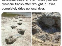 Hal-hal Unik yang Baru Tahu Ternyata Ada di Dunia Ini