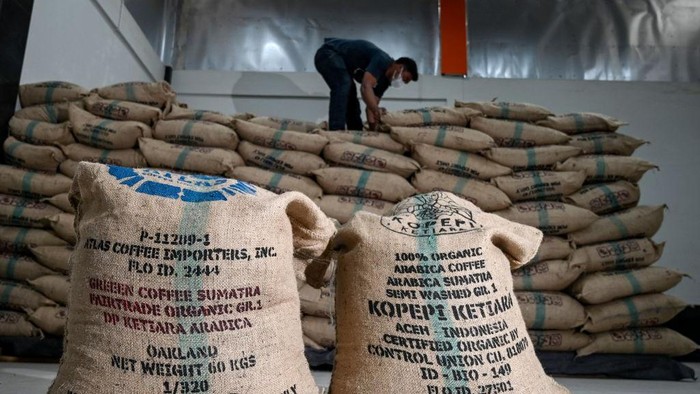 Harum Kopi Arabika Gayo Tembus Pasar Eropa dan AS This photo taken on September 19, 2022 show workers sorting organic Gayo arabica coffee beans for export to the US and Europe at the Ketiara coffee warehouse in the highlands of Takengon, Aceh province. (Photo by CHAIDEER MAHYUDDIN / AFP) (Photo by CHAIDEER MAHYUDDIN/AFP via Getty Images)