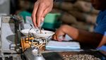 Harum Kopi Arabika Gayo Tembus Pasar Eropa dan AS