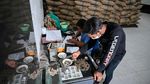 Harum Kopi Arabika Gayo Tembus Pasar Eropa dan AS