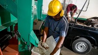 Pekerja kembali memeriksa biji kopi yang telah disaring dan dimasukkan ke dalam karung. Dari gudang ini, kopi dipasarkan hingga luar negeri, seperti Amerika Serikat, Eropa, Timur Tengah, Australia, dan Asia.