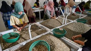 Harum Kopi Arabika Gayo Tembus Pasar Eropa dan AS