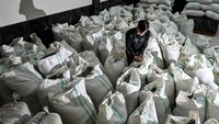 Seorang pekerja memeriksa biji kopi arabika Gayo organik untuk diekspor ke AS dan Eropa di gudang kopi Ketiara di dataran tinggi Takengon, Aceh, Senin, (19/9/2022).