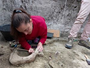 Ini Beda Fosil dan Artefak, Bisa Dilihat dari Wujud hingga Fungsinya