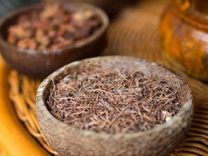 Bikin Puluhan Emak-emak Kelenger, Pedagang Jamu di Bima Tak Ditahan