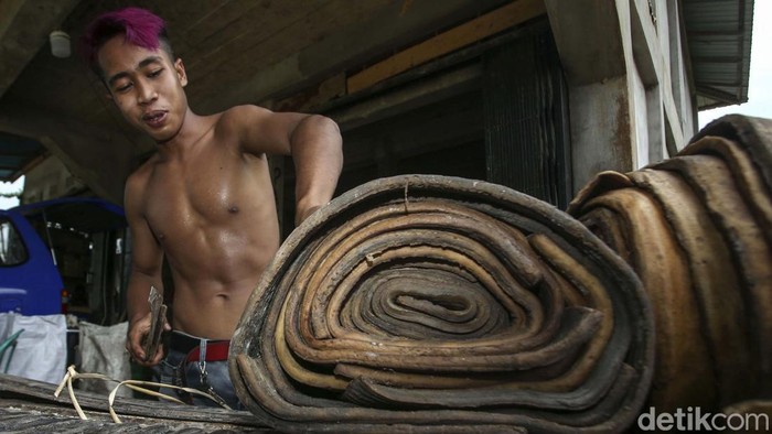Karet merupakan salah satu tanaman yang banyak ditanam di Kalimantan. Namun saat ini para petani mulai beralih ke kalapa sawit.