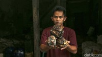 Ajis salah satu pengepul karet mentah menunjukan gumpalan karet di gudang miliknya di Jagoi Babang, Kalbar.