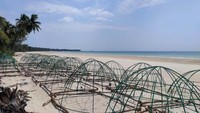 Reklamasi laut dilakukan sebagai upaya untuk menjaga ekosistem laut.