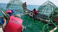 Penenggelaman artificial reef telah dilakukan sejak tahun 2016 silam. Dalam kurun 2016-2022, PT Timah Tbk telah menenggelamkan sebanyak 3.105 fish shelter, 1.475 unit transplantasi karang dan 3.840 unit artificial reef.