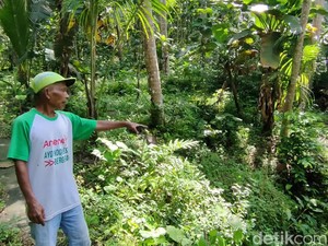 Kisah Eks Penambang Mangan Kliripan Kulon Progo Bertaruh Nyawa Demi Rp 60