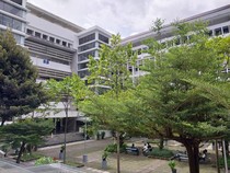 5 Universitas di Indonesia Ini Punya Hutan di Dalam Kampus, Ada UI-UGM