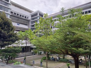 5 Universitas di Indonesia Ini Punya Hutan di Dalam Kampus, Ada UI-UGM