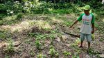 Menyusuri Jejak Kejayaan Tambang Mangan Kliripan Kulon Progo