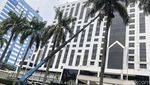 Wow! Pangkas Pelepah Palem di Senayan Pakai Crane Lho