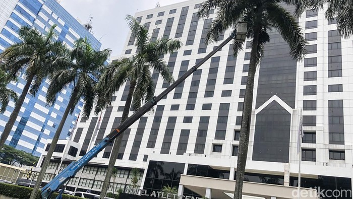 Petugas mengoperasikan telescopic crane untuk melakukan perawatan pohon palem peneduh jalan di Jl Pintu Satu Senayan, Jakarta, Kamis (29/9). Begini prosesnya.