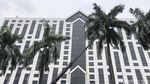 Wow! Pangkas Pelepah Palem di Senayan Pakai Crane Lho