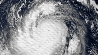 Ini dia diposisi pertama ada Topan Tip yang merupakan badai terbesar dengan diameter paling besar sepanjang sejarah yakni 2.220 km persegi. Badai ketegori 5 dilaporkan menghancurkan kapal China hingga menjadi dua bagian. Dok. wikipedia.org