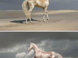 10 Bukti Bahwa Kuda adalah Makhluk Tercantik