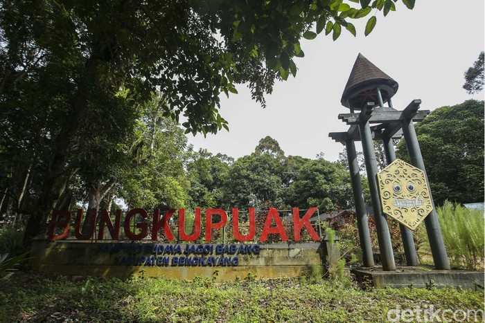 Bung Kupuak merupakan kampung adat tua Suku Dayak Bidayuh yang ada di Jagoi Babang, Kalimantan Barat. Yuk kita lihat suasananya.