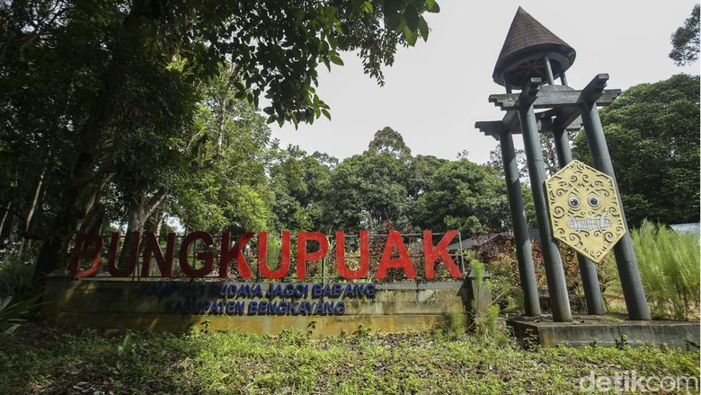 Ada Kampung Adat Terpopuler Bung Kupuak, Begini Penampakannya Bung Kupuak merupakan kampung adat tua Suku Dayak Bidayuh yang ada di Jagoi Babang, Kalimantan Barat. Yuk kita lihat suasananya.
