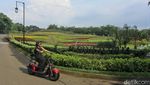 Hotel Ini Cocok Buat Healing di Bogor Bareng Keluarga