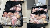 Selundupkan 226 Kg Daging di Koper, Warga China Ini Kena Denda Rp 184 Juta