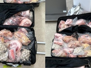 Selundupkan 226 Kg Daging di Koper, Warga China Ini Kena Denda Rp 184 Juta
