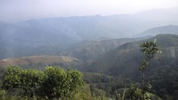 Lanjut, diposisi ke-6 dipegang oleh hutan hujan Xishuangbanna yang berada i Provinsi Yunnan, China. Ini merupakan salah satu hutan terbesar Asia dengan luas 19.223 km persegi.