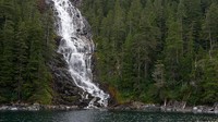 Posisi ke-4 ada Hutan Nasional Tongass di Alaska. Tongass dikelola oleh United States Forest Service meliputi pulau-pulaudi Kepulauan Alexander, fjord dan gletser serta Pegunungan Coast.