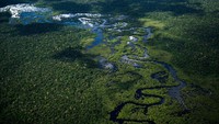 Nah, diposisi pertama ada Hutan Amazon dengan luas tujuh juta kilometer persegi. Hutan tropis paling gede di dunia ini menghasilkan 30 persen oksigen seantero bumi.