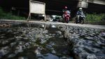 Parah! Jalan Rusak di Kalimalang Bekasi Tak Kunjung Dibenahi