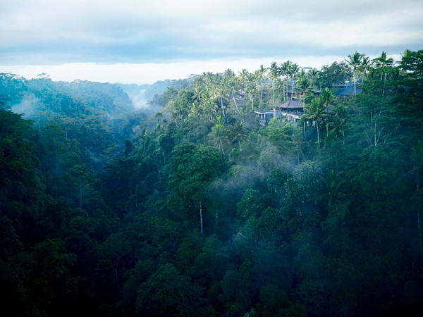 Hoshinoya Bali dibangun dengan filosofi Hindu Bali yang mengedepankan keseimbangan antara manusia dan alam. Resor berdiri di tengah hutan yang berada di sisi lembah dan dikelilingi aliran Sungai Pakerisan. Foto: dok. Hoshinoya Bali