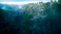 Hoshinoya Bali dibangun dengan filosofi Hindu Bali yang mengedepankan keseimbangan antara manusia dan alam. Resor berdiri di tengah hutan yang berada di sisi lembah dan dikelilingi aliran Sungai Pakerisan. Foto: dok. Hoshinoya Bali