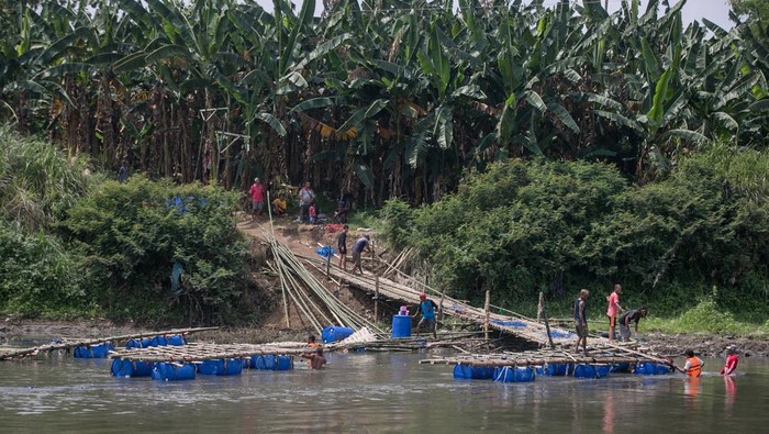 Jembatan Darurat di Bengawan Solo Rusak, Akses Warga Terputus Warga memindahkan jembatan darurat sesek bambu rusak yang menghubungkan Kampung Sangkrah, Pasar Kliwon, Solo dengan Desa Gadingan, Mojolaban, Sukoharjo, Jawa Tengah, Jumat (30/9/2022). Jembatan darurat yang dibuat secara swadaya masyarakat sebagai alternatif jalan untuk menyeberangi sungai Bengawan Solo tersebut putus akibat hujan dan terkena derasnya arus sungai. ANTARA FOTO/Mohammad Ayudha/foc.