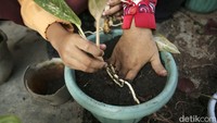 detikcom bersama BRI mengadakan program Tapal Batas yang mengulas perkembangan ekonomi, infrastruktur, hingga wisata di beberapa wilayah terdepan Indonesia. Untuk mengetahui informasi dari program ini ikuti terus berita tentang Tapal Batas di tapalbatas.detik.com!