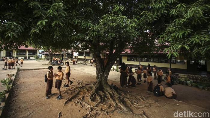 Kenal Lebih Dekat Anak-anak Sekolah Dasar di Ujung Negeri Seorang anak berjalan menuju sekolahnya di SDN 06 Pereges, Desa Seluas, Kabupaten Bengkayang, Kalimantan Barat. Kepala Sekolah SDN 06 Pereges Muhammad Aspar menjelaskan SDN 06 Sereges terletak di Desa Seluas, yang tidak jauh dengan perbatasan Malaysia, yaitu daerah Serikin lebih kurang 18 km dari sekolah ini.
