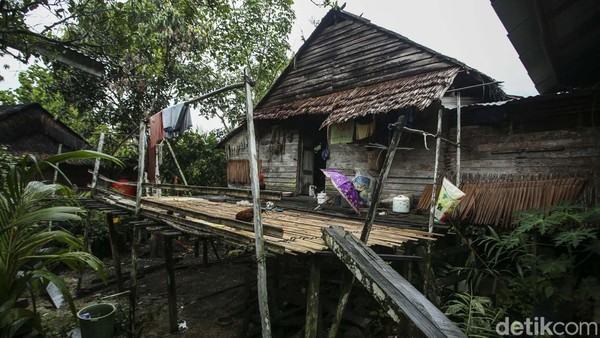 Rumah panggung ini dibangun menggunakan kayu besi yang didapat langsung dari hutan Kalimantan yang terkenal dengan kekokohannya. Namun kini, kayu-kayu itu tak boleh ditebang sembarangan. Rumah panggung ini dibangun menggunakan kayu besi yang didapat langsung dari hutan Kalimantan yang terkenal dengan kekokohannya. Namun kini, kayu-kayu itu tak boleh ditebang sembarangan.