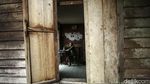 Melihat Rumah Panggung Kalimantan