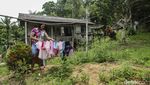 Melihat Rumah Panggung Kalimantan