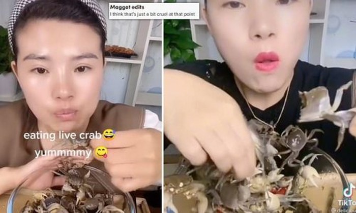 Mukbang Makan Kepiting Hidup, Seleb TikTok Ini Dikecam