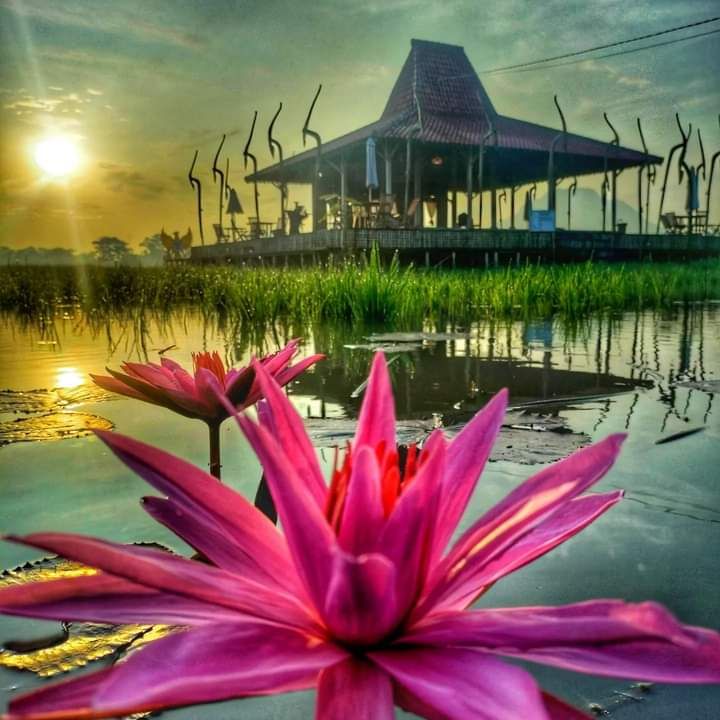 Nangkula Park di Desa Kendalbulur, Tulungagung