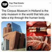 Berikut ini adalah beberapa benda unik yang diciptakan manusia maupun alam. Yang mana favorit kamu atau tidak kamu sangka-sangka ada yang buat?
