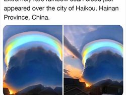 Yup, That Exists! Kumpulan Hal Unik yang Pernah Ada