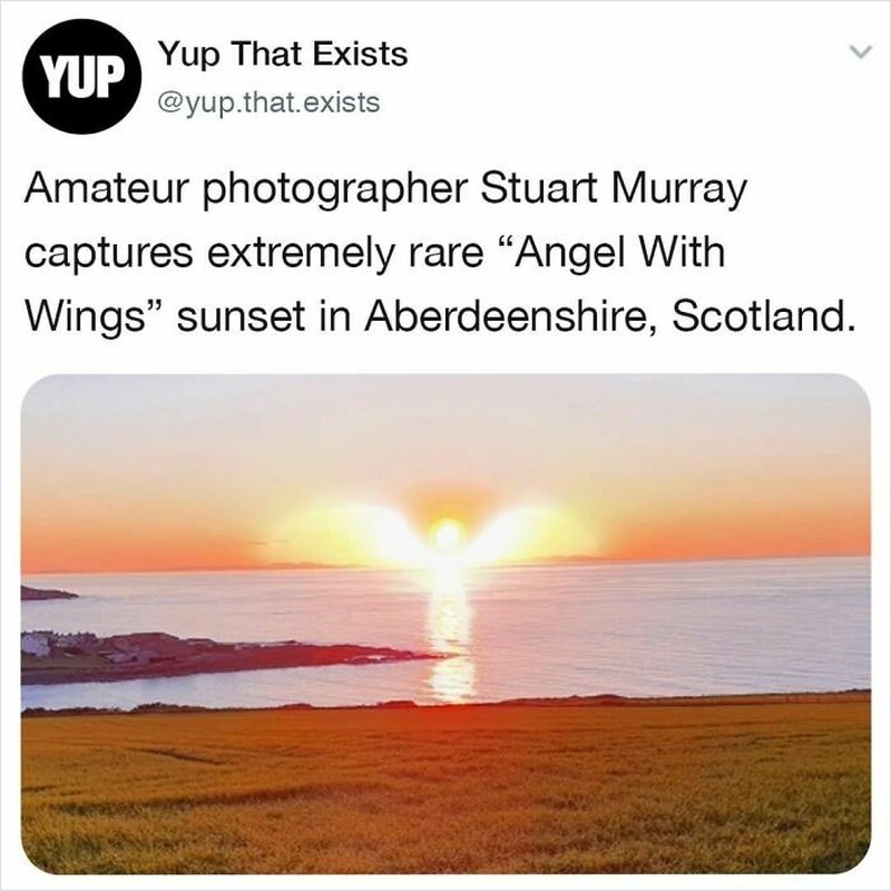 Berikut ini adalah beberapa benda unik yang diciptakan manusia maupun alam. Yang mana favorit kamu atau tidak kamu sangka-sangka ada yang buat?