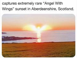 Yup, That Exists! Kumpulan Hal Unik yang Pernah Ada